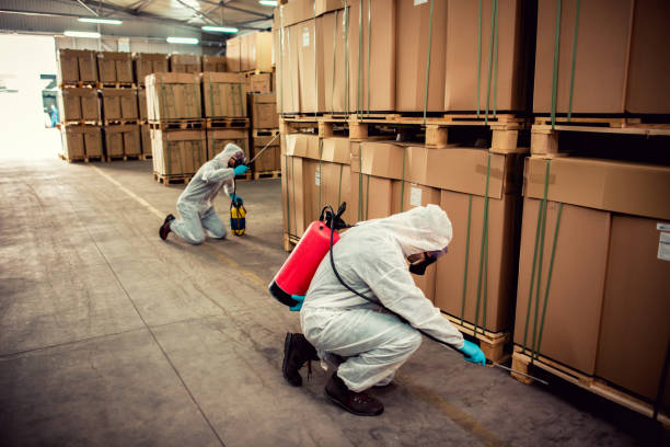 Best Ant Control Services  in Manhattan, MT