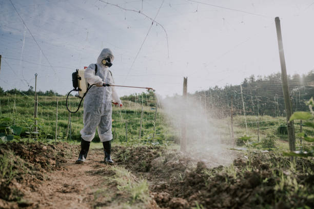 Best Mosquito Control Services  in Manhattan, MT