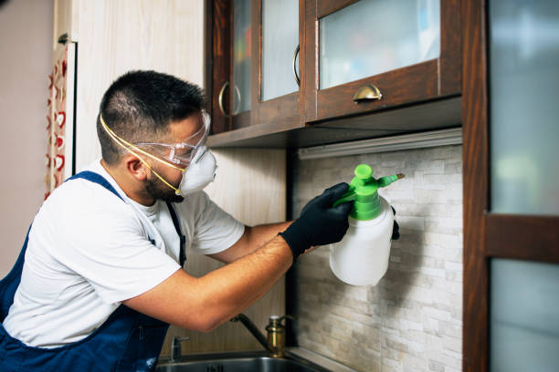 Flea Control Services in Manhattan, MT