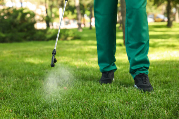 Best Pest Control for Homes  in Manhattan, MT