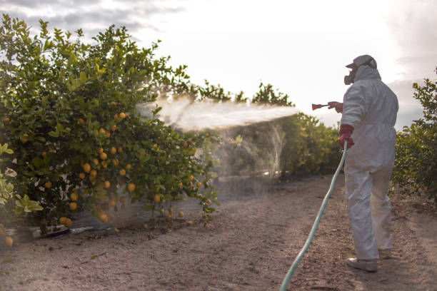 Best Pest Control Near Me  in Manhattan, MT