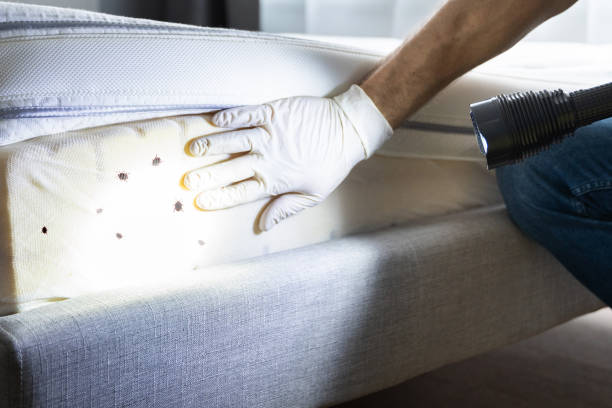 Best Best Pest Control Companies  in Manhattan, MT