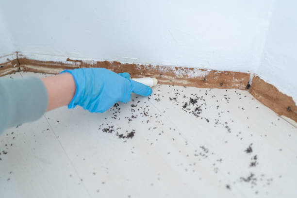 Best Pest Control Cost  in Manhattan, MT
