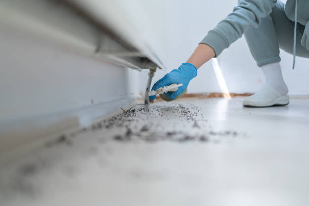 Best Wildlife Control Services  in Manhattan, MT