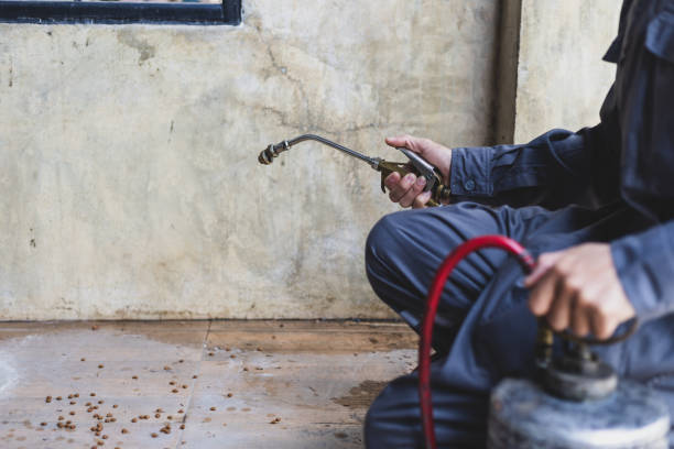 Best Local Pest Control Services  in Manhattan, MT