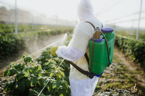 Best Flea Control Services  in Manhattan, MT